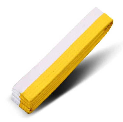 9th Kup – High White Belt